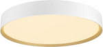 Ceiling-/wall luminaire 1008583 | 4024163298162