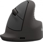 MOUSE USB OPTICAL WRL VERTICAL/ERGO M RT 100143579 FELLOWES 100143579 | 043859814107