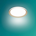 Ceiling luminaire Fleta, 10W, 2700K, 1850lm, white 929004116601 | 8720169301054