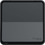 Push-button 1P 10A IP55 anthracite Mureva MUR35026 | 3606480789281