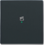 SRS-1-81 Rocker, anthracite, Covers 2CKA006220A0146 | 4011395181539