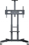 TV SET ACC MOBILE STAND/32-75"/GRAPHITE TS1571-G ONKRON TS1571-G | 4262392443391
