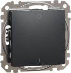 2P Switch 10AX anthracite Sedna Design SDD114102 | 3606481479877