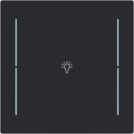 Labeling field with light icon for keypad 1-4-fold (KK/U4.70.xx).   Available for the design ranges:   - Busch-art linear   - Alba 2CKA006199A0487 | 4011395338964