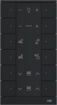 12gang Control, black matt 2CKA006220A0875 | 4011395314661