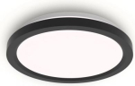 Bulkhead AIO RD 24W 2700-6500K 2400Lm IP20 black 929004738801 | 8721103057563