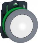 Pilot light, Harmony XB5, grey bezel, white, universal LED, plain lens, screw clamp terminals, 24V XB5FVB1C0 | 3606489761103