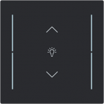 Labeling field with one dimming icon for keypad 1-4-fold (KK/U4.70.xx).   Available for the design ranges:   - Busch-art linear   - Alba 2CKA006199A0490 | 4011395338995
