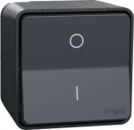 Switch, Mureva Styl, complete product, 2-pole 1-way, electromechanical, 16AX, IP55, grey MUR35033 | 3606480789175