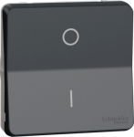 Switch, Mureva Styl, mechanism, 2-pole 1-way, electromechanical, 16AX, IP55, grey MUR35034 | 3606480789199