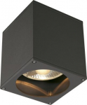 Outdoor ceiling light BIG THEO, QPAR111, IP44, max. 75 W, GU10, anthracite 229555 | 4024163151900