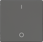 Rocker switch with symbols IO, 2-pole, 3-pole, 68x68mm, carbon metallic, DELTA i-system 5TG6222 | 4001869233567