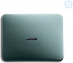 Cover plate with illumination, titanium 1787-266 Alpha-Ex 2CKA001751A2835 | 4011395005996