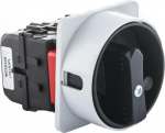 Panel mounted switch PCE MERZ ML032.4-TB/RG4 32A 0-1 4P 3 padlocks IP55 silver/black ML032.4-TB/RG4 | 5902082026204