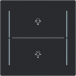 Labeling field with light icon for keypad 1-4-fold (KK/U4.70.xx).   Available for the design ranges:   - Busch-art linear   - Alba 2CKA006199A0493 | 4011395339022