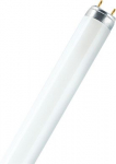 LUMILUX&reg; T8 1 m 36 W/840-1 4050300518091 | 4050300518091