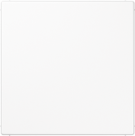 Blank cover plate, white, LS LS994BWW | 4011377081253