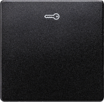 1-gang rocker with key symbol, 55x55mm, carbon metallic, DELTA i-system 5TG6228 | 4001869233680