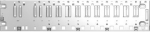 rack, Modicon X80, 10 slots, Redundant PS, Ethernet backplane, ruggedized BMEXBP1002H | 3606480911774