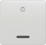 1-gang rocker with light symbol, with window, 65x65mm, titanium white, DELTA profil 5TG7806 | 4001869048505