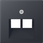 Cover plate 2xRJ, anthracite A500 A569-2BFPLUAANM | 4011377129290