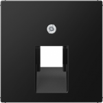 Centre plate 1xIAE/UAE, A500, matt graphite A569-1BFPLUASWM | 4011377190573