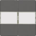 1+1 Rocker switch for two-way switch, with label, 55x55mm, carbon metallic DELTA i-system 5TG6232 | 4001869233604