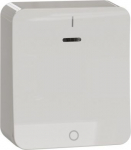 Switch, Exxact Surface, complete product, 2-pole 1-way, 16AX, LED, screwless terminals, white WDE015562 | 3606489504229