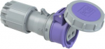 CEE connector  2x16A 24VAC 50/60Hz IP67 TWIST with cap purple 2622V | 9003399054471