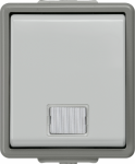 Control switch, with pilot lamp, 10A 250V 66x75mm, IP44, Grey, DELTA fl&auml;che 5TA4710 | 4001869002507