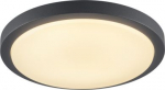AINOS, ceiling light, LED, 3000K, round, anthracite, with sensor 229975 | 4024163167215