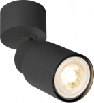 Ceiling-/wall luminaire 1008284 | 4024163294423