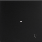 As cover for ABB-free@home&reg; sensor units (e.g. 6221/1.0) and sensor/actuator units (e.g. 6211/1). As cover for KNX 2gang push-button coupling unit (6108/06-500). 2CKA006220A0931 | 4011395327012