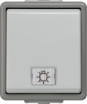OFF switch with lamp+2 windows (neutral, light), 10A 250V 66x75mm, IP44, Grey, DELTA fl&auml;che 5TA4711 | 4001869038223