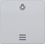 1-gang rocker with light symbol, with window, 55x55mm, aluminum-metallic, DELTA i-system 5TG6246 | 4001869233819