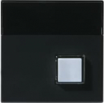 Center plate Switch/push button Anthracite - Impressivo 2TKA000630G1 | 6418677330681
