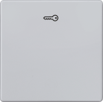 1-gang rocker with key symbol, 55x55mm, aluminum-metallic, DELTA i-system 5TG6248 | 4001869233536