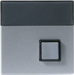 Center plate Switch/push button Aluminium - Impressivo 2TKA000631G1 | 6418677330698