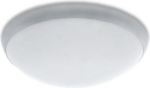 Bulkhead CAMEA RCR E27 75W  IP44 frosted, silver, with sensor 202445