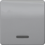 Rocker switch with window for pilot lamp, 65x65mm, silver, DELTA profil 5TG7920 | 4001869049175