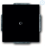 Cover plate, anthracite FUTURE 1742-81 2CKA001710A3612 | 4011395056271