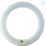TL-E CIRCULAR 32W/840 Fluorescent lamp 928026384070 | 8711500559685