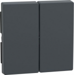 Rocker, 2-gang, anthracite, IP20, Merten System M 433514 | 4011281894239