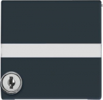 Intermediate Ring with labelling field with Hinged Lid Cylinder with Simultaneous Locking Cover plates Busch-Duro 2000&reg; SI and Reflex SI anthracite - Allwetter 44 (IP 44) 2CKA001710A3794 | 4011395103838