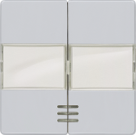 1+1 Rocker switch with window, with label for series, 55x55mm, aluminum-metallic DELTA i-system 5TG6253 | 4001869233765