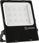 LED Floodlight PERFORMANCE DALI ASYM 55x110 150W 4000K 19900Lm IP66 IK08 BK 4099854373404 | 4099854373404