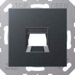 Cover plate 1xRJXX, matt anthracite A500 A1569-1WEANM | 4011377177420