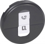 SINGLE RJ 45 COVER GRAPHITE 067951 | 3414970488077