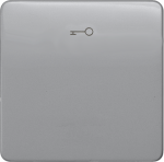 1-gang rocker with key symbol, 65x65mm, silver, DELTA profil 5TG7928 | 4001869049229