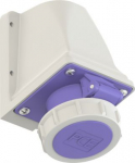 CEE-wall mounted socket 2x16A (2P) 24VAC 50/60Hz IP66/IP67 TWIST, purple 1622V | 9003399138096